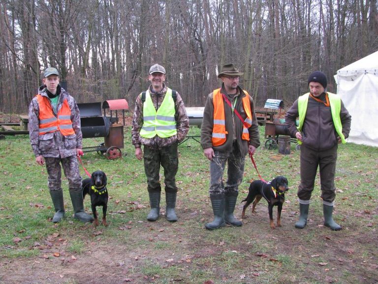 Ogólnopolski Konkurs Psów Dzikarzy w Naturalnych Warunkach 19.11.2016r.  - 