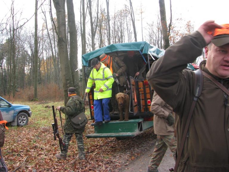 Ogólnopolski Konkurs Psów Dzikarzy w Naturalnych Warunkach 19.11.2016r.  - 