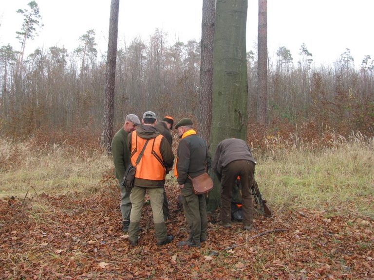 Ogólnopolski Konkurs Psów Dzikarzy w Naturalnych Warunkach 19.11.2016r.  - 