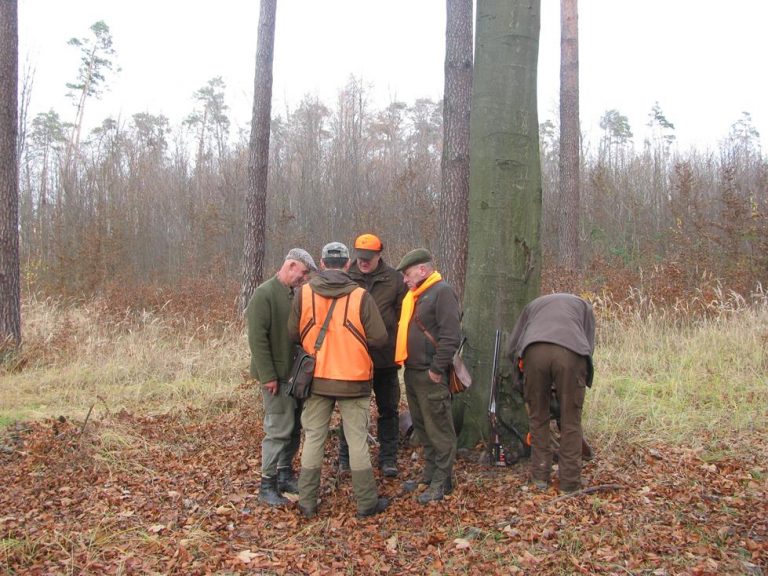 Ogólnopolski Konkurs Psów Dzikarzy w Naturalnych Warunkach 19.11.2016r.  - 