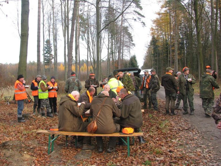 Ogólnopolski Konkurs Psów Dzikarzy w Naturalnych Warunkach 19.11.2016r.  - 