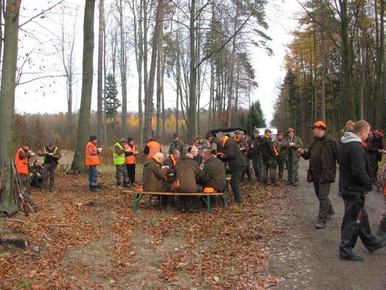 Ogólnopolski Konkurs Psów Dzikarzy w Naturalnych Warunkach 19.11.2016r.  - 