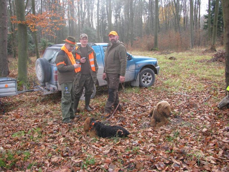 Ogólnopolski Konkurs Psów Dzikarzy w Naturalnych Warunkach 19.11.2016r.  - 