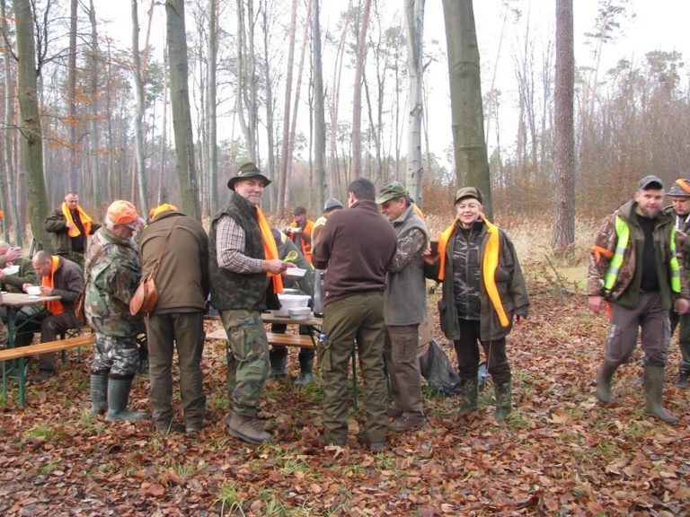 Ogólnopolski Konkurs Psów Dzikarzy w Naturalnych Warunkach 19.11.2016r.  - 