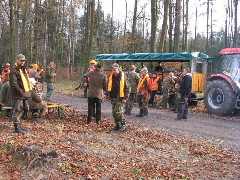 Ogólnopolski Konkurs Psów Dzikarzy w Naturalnych Warunkach 19.11.2016r.  - 