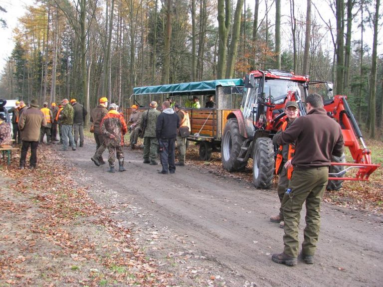 Ogólnopolski Konkurs Psów Dzikarzy w Naturalnych Warunkach 19.11.2016r.  - 