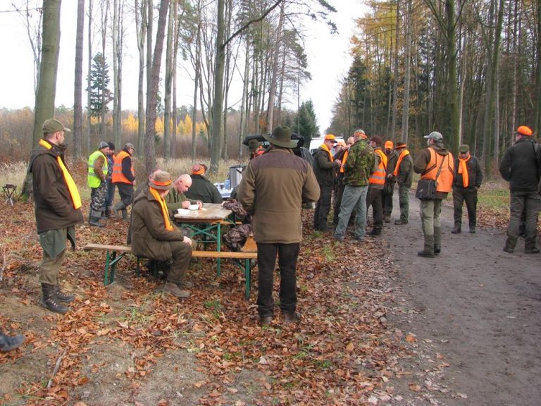 Ogólnopolski Konkurs Psów Dzikarzy w Naturalnych Warunkach 19.11.2016r.  - 