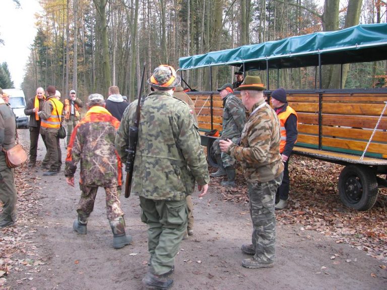 Ogólnopolski Konkurs Psów Dzikarzy w Naturalnych Warunkach 19.11.2016r.  - 