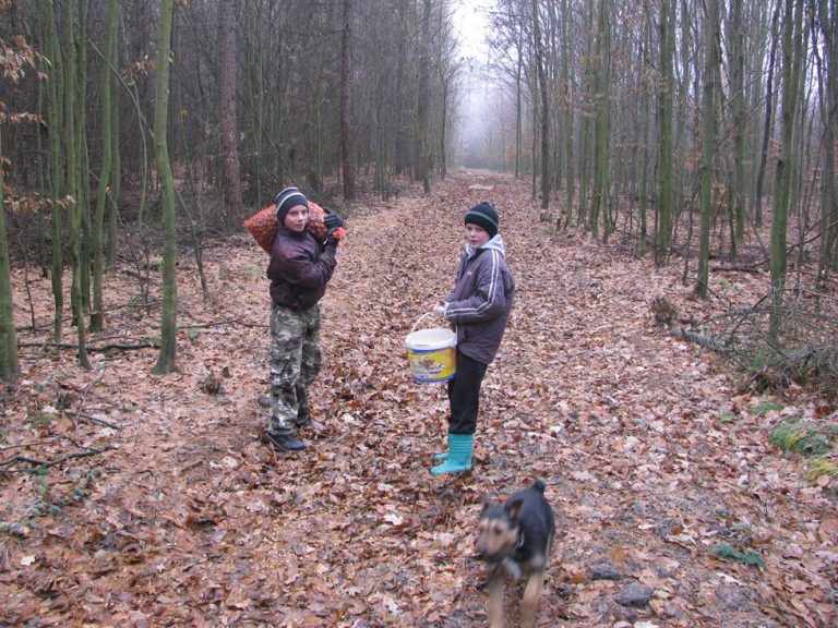 Dokarmianie przez młodzież Zespołu Szkół w Brzózie Królewskiej 26.12.2016  - 