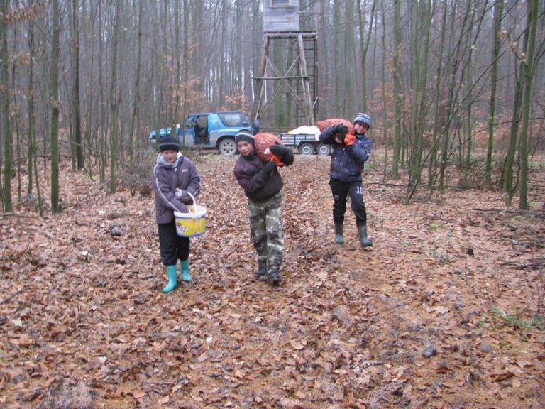 Dokarmianie przez młodzież Zespołu Szkół w Brzózie Królewskiej 26.12.2016  - 