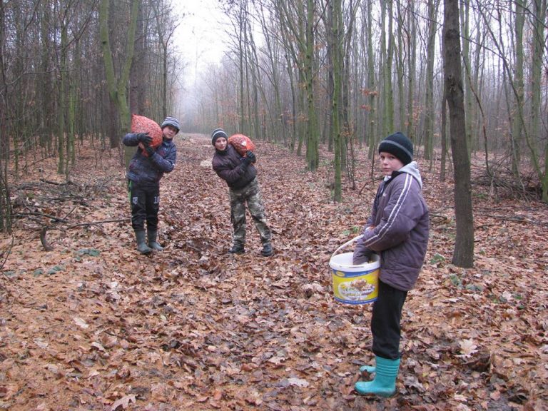 Dokarmianie przez młodzież Zespołu Szkół w Brzózie Królewskiej 26.12.2016  - 