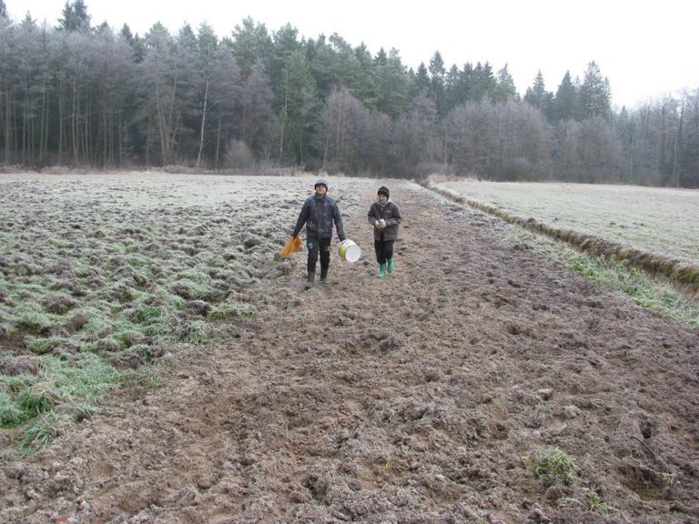 Dokarmianie przez młodzież Zespołu Szkół w Brzózie Królewskiej 26.12.2016  - 