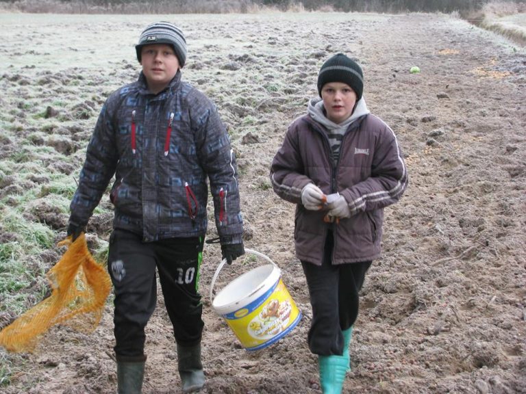 Dokarmianie przez młodzież Zespołu Szkół w Brzózie Królewskiej 26.12.2016  - 