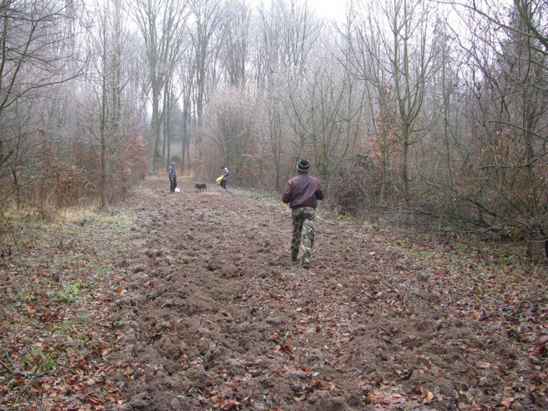 Dokarmianie przez młodzież Zespołu Szkół w Brzózie Królewskiej 26.12.2016  - 