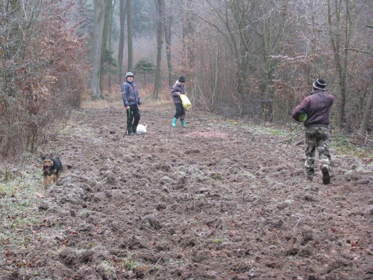 Dokarmianie przez młodzież Zespołu Szkół w Brzózie Królewskiej 26.12.2016  - 