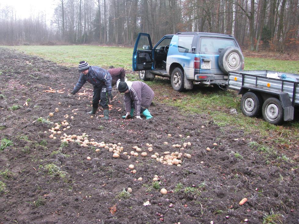 Dokarmianie przez młodzież Zespołu Szkół w Brzózie Królewskiej 26.12.2016