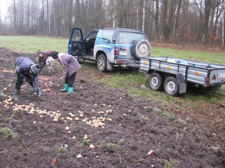 Dokarmianie przez młodzież Zespołu Szkół w Brzózie Królewskiej 26.12.2016  - 