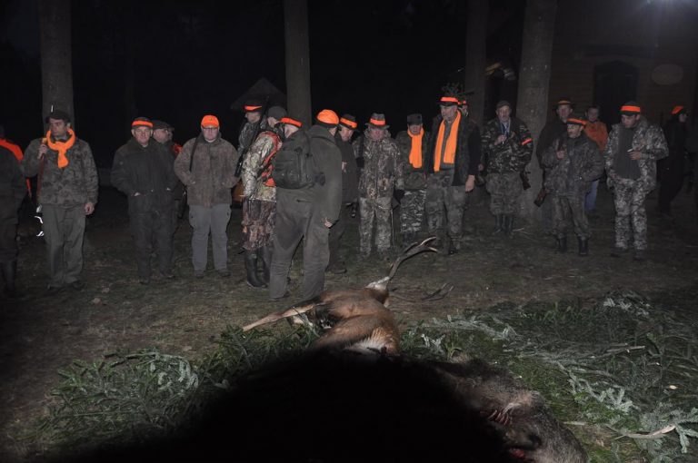 Międzynarodowy Konkurs Oceny Pracy Psów Dzikarzy w Naturalnych Warunkach 25.11.2017  - 