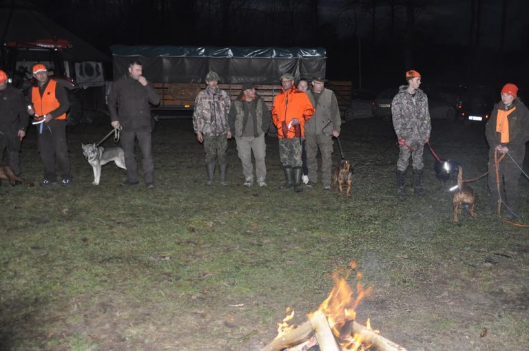 Międzynarodowy Konkurs Oceny Pracy Psów Dzikarzy w Naturalnych Warunkach 25.11.2017  - 