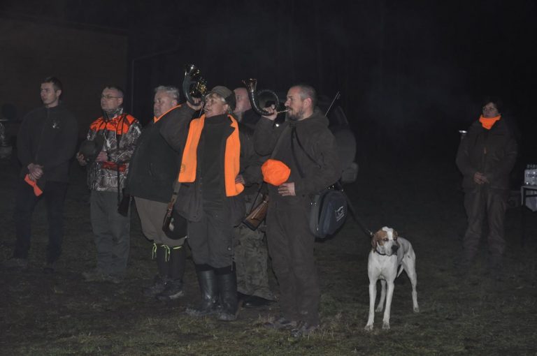 Międzynarodowy Konkurs Oceny Pracy Psów Dzikarzy w Naturalnych Warunkach 25.11.2017  - 