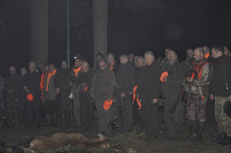 Międzynarodowy Konkurs Oceny Pracy Psów Dzikarzy w Naturalnych Warunkach 25.11.2017  - 