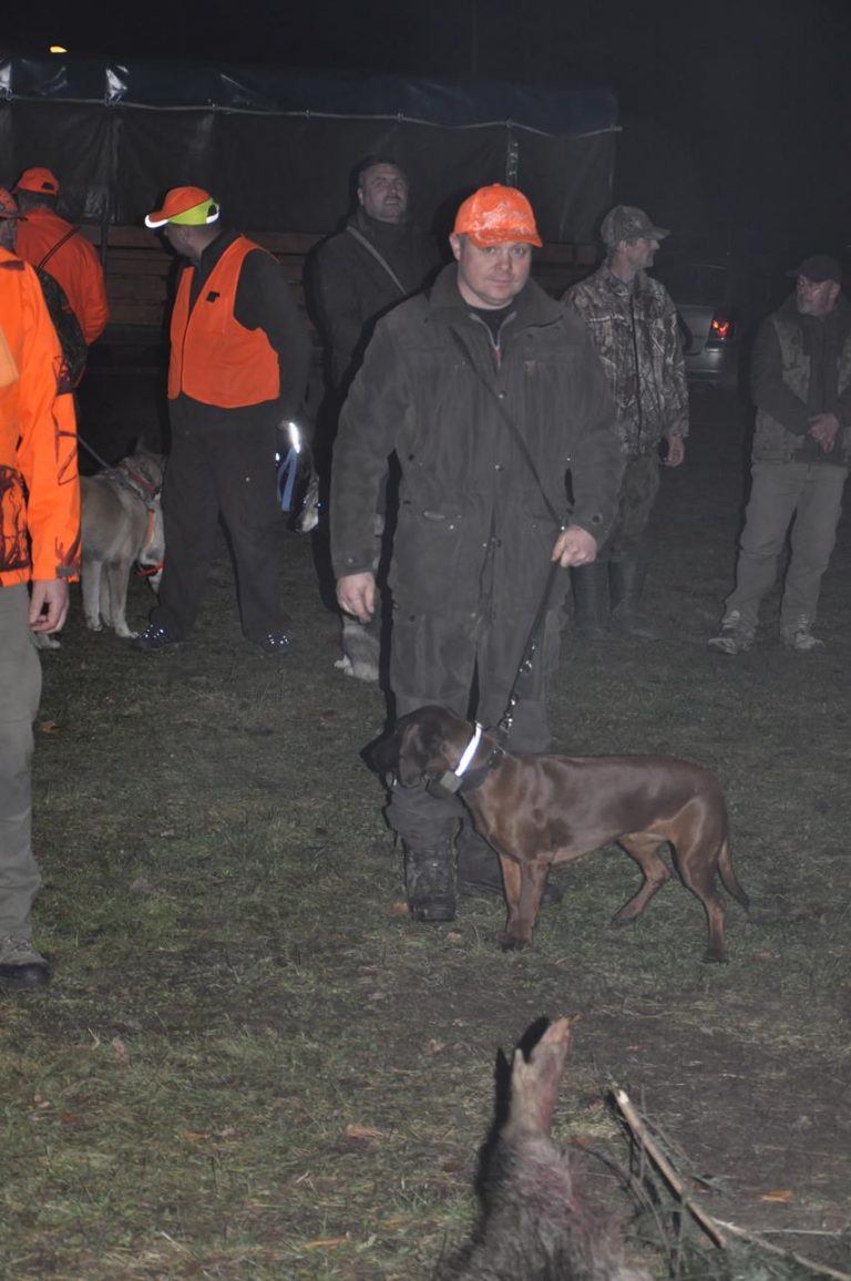 Międzynarodowy Konkurs Oceny Pracy Psów Dzikarzy w Naturalnych Warunkach 25.11.2017  - 