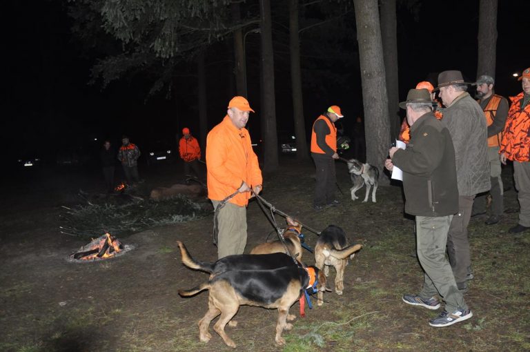 Międzynarodowy Konkurs Oceny Pracy Psów Dzikarzy w Naturalnych Warunkach 25.11.2017  - 