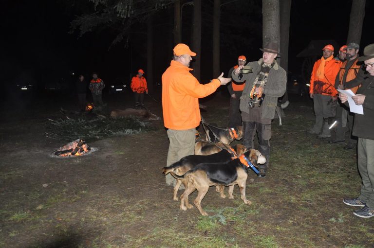 Międzynarodowy Konkurs Oceny Pracy Psów Dzikarzy w Naturalnych Warunkach 25.11.2017  - 