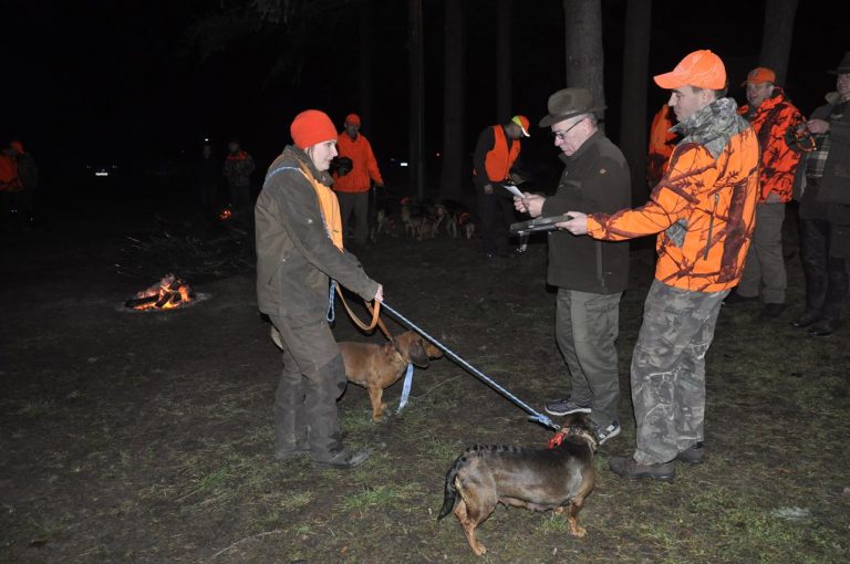 Międzynarodowy Konkurs Oceny Pracy Psów Dzikarzy w Naturalnych Warunkach 25.11.2017  - 