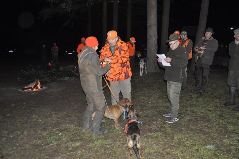 Międzynarodowy Konkurs Oceny Pracy Psów Dzikarzy w Naturalnych Warunkach 25.11.2017  - 