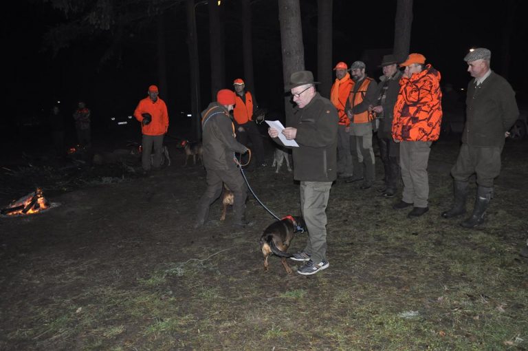 Międzynarodowy Konkurs Oceny Pracy Psów Dzikarzy w Naturalnych Warunkach 25.11.2017  - 