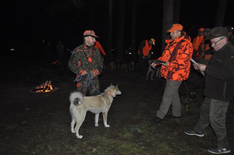 Międzynarodowy Konkurs Oceny Pracy Psów Dzikarzy w Naturalnych Warunkach 25.11.2017  - 