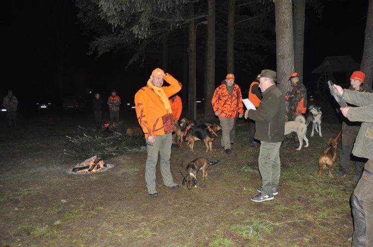 Międzynarodowy Konkurs Oceny Pracy Psów Dzikarzy w Naturalnych Warunkach 25.11.2017  - 