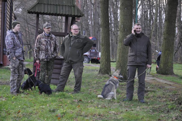 Międzynarodowy Konkurs Oceny Pracy Psów Dzikarzy w Naturalnych Warunkach 25.11.2017  - 