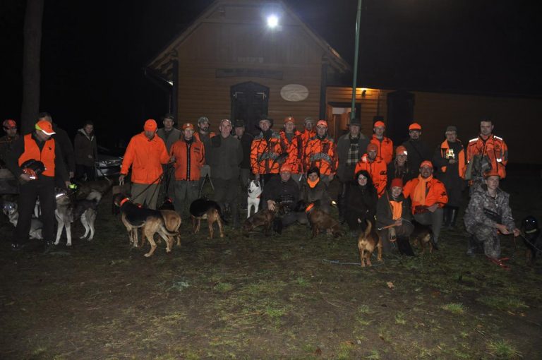 Międzynarodowy Konkurs Oceny Pracy Psów Dzikarzy w Naturalnych Warunkach 25.11.2017  - 