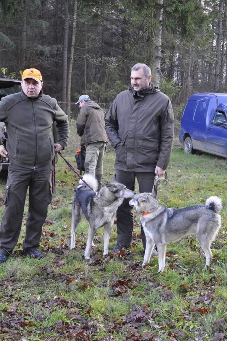 Międzynarodowy Konkurs Oceny Pracy Psów Dzikarzy w Naturalnych Warunkach 25.11.2017  - 