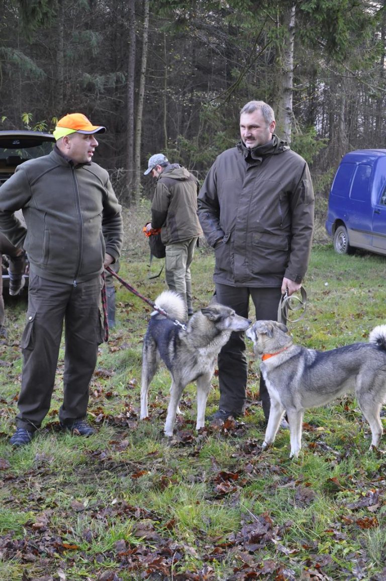 Międzynarodowy Konkurs Oceny Pracy Psów Dzikarzy w Naturalnych Warunkach 25.11.2017  - 