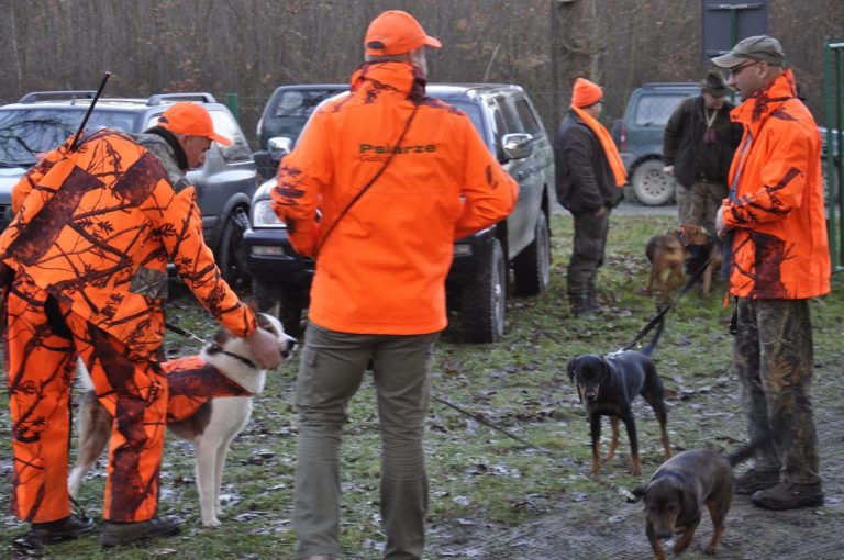 Międzynarodowy Konkurs Oceny Pracy Psów Dzikarzy w Naturalnych Warunkach 25.11.2017  - 