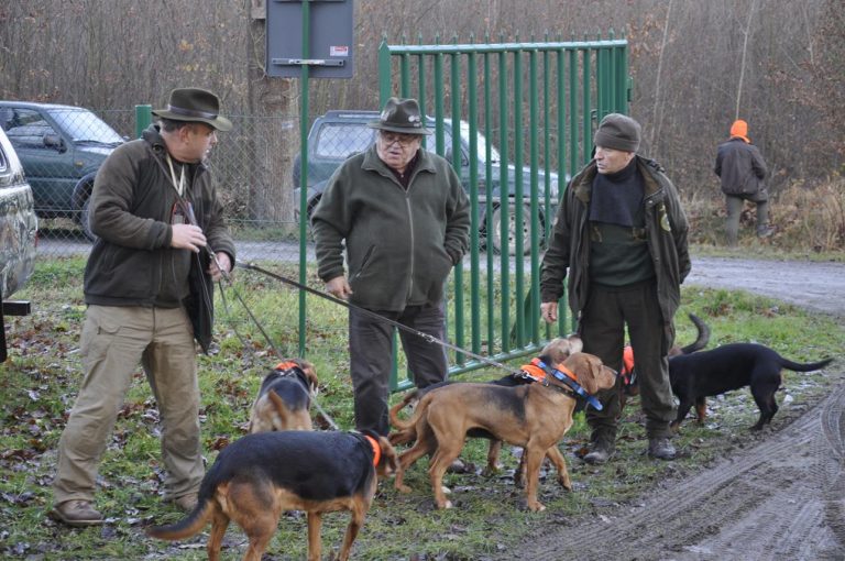 Międzynarodowy Konkurs Oceny Pracy Psów Dzikarzy w Naturalnych Warunkach 25.11.2017  - 