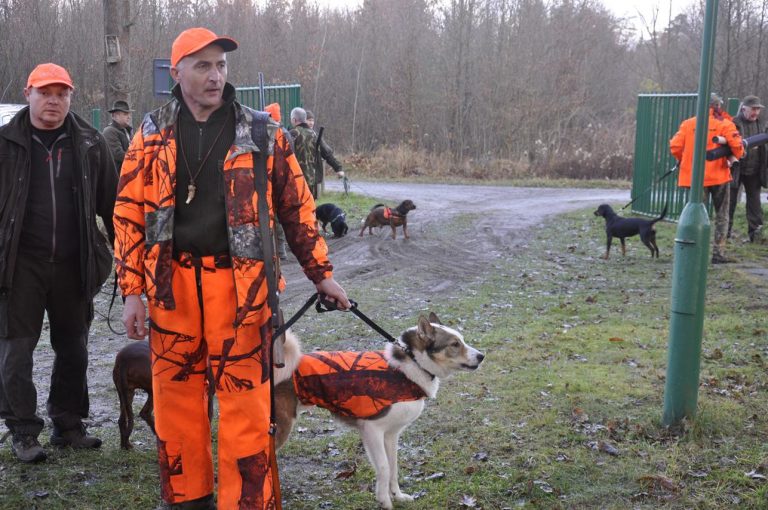 Międzynarodowy Konkurs Oceny Pracy Psów Dzikarzy w Naturalnych Warunkach 25.11.2017  - 