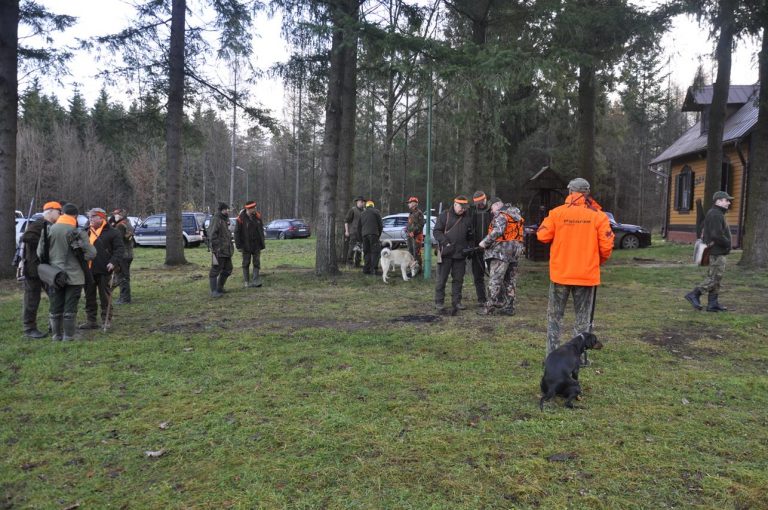 Międzynarodowy Konkurs Oceny Pracy Psów Dzikarzy w Naturalnych Warunkach 25.11.2017  - 