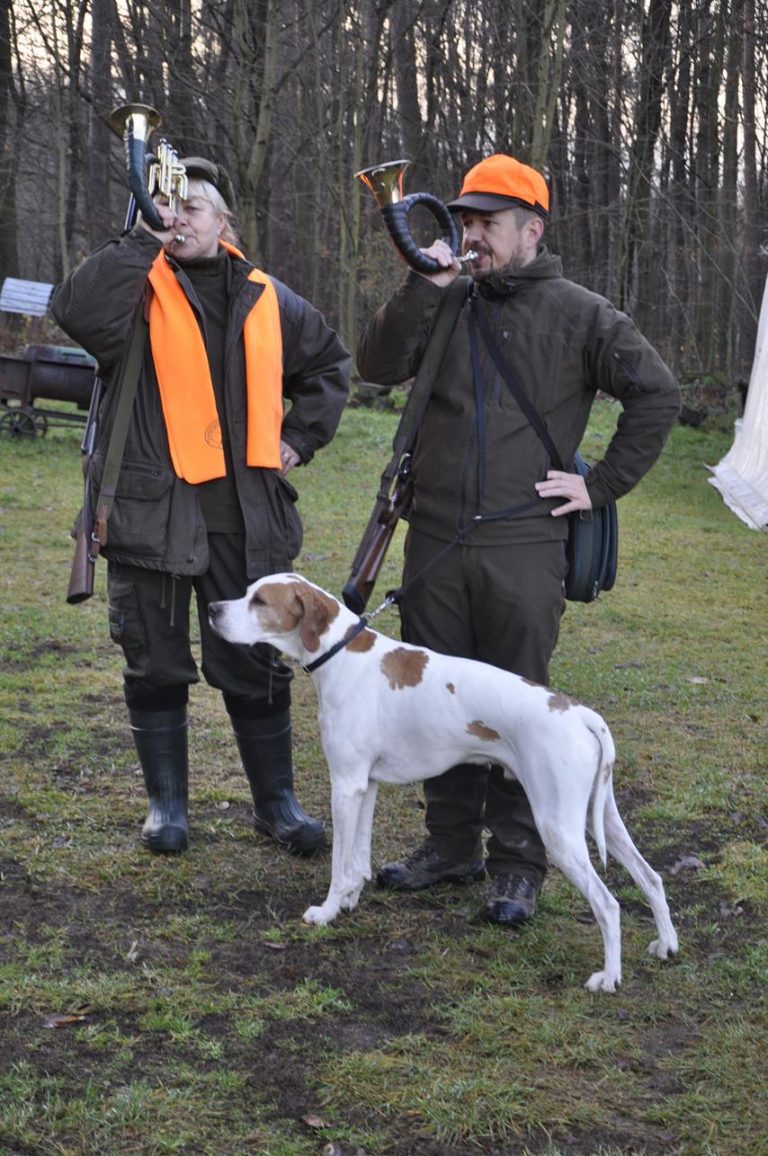 Międzynarodowy Konkurs Oceny Pracy Psów Dzikarzy w Naturalnych Warunkach 25.11.2017  - 