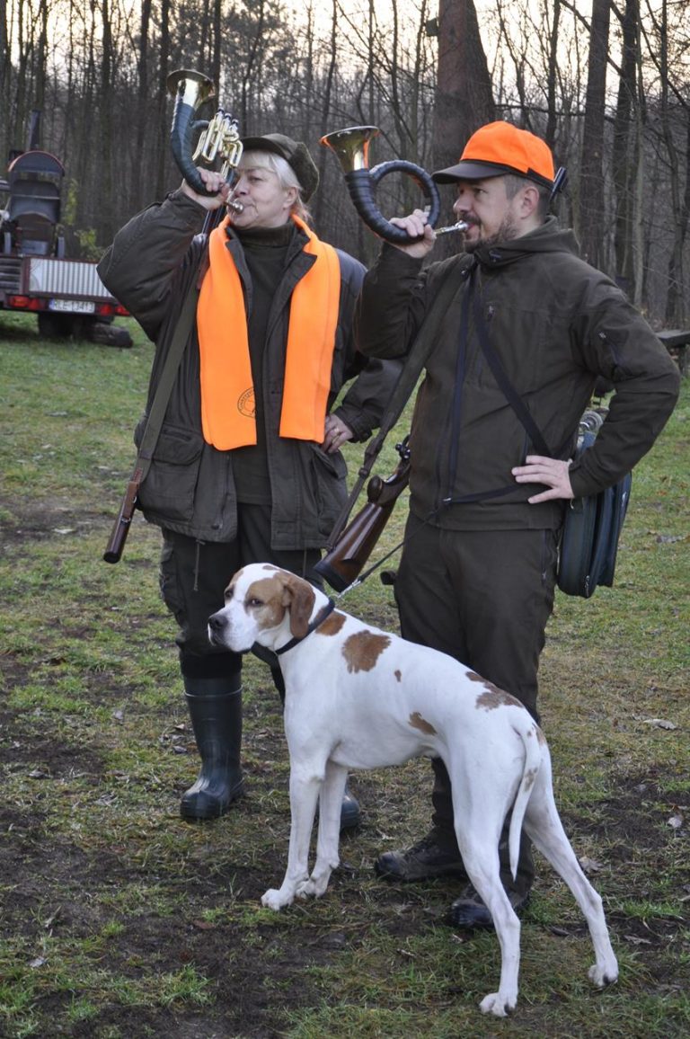 Międzynarodowy Konkurs Oceny Pracy Psów Dzikarzy w Naturalnych Warunkach 25.11.2017  - 