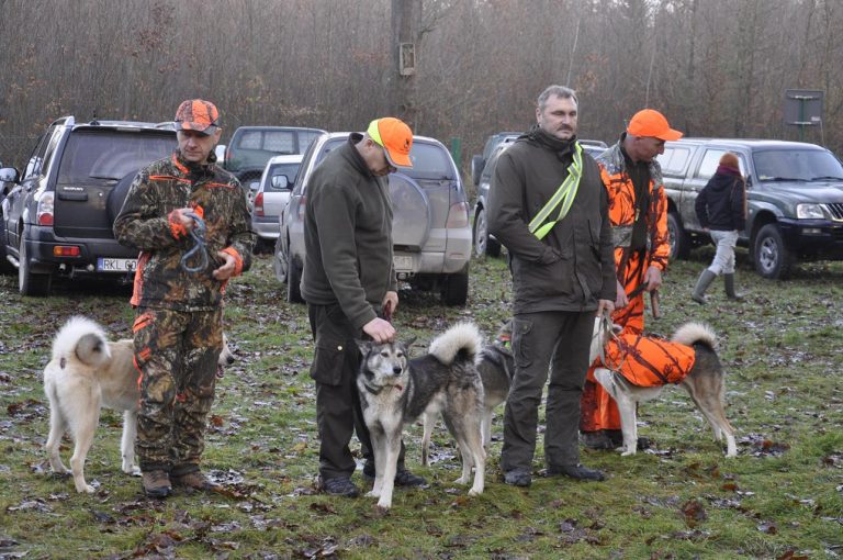 Międzynarodowy Konkurs Oceny Pracy Psów Dzikarzy w Naturalnych Warunkach 25.11.2017  - 