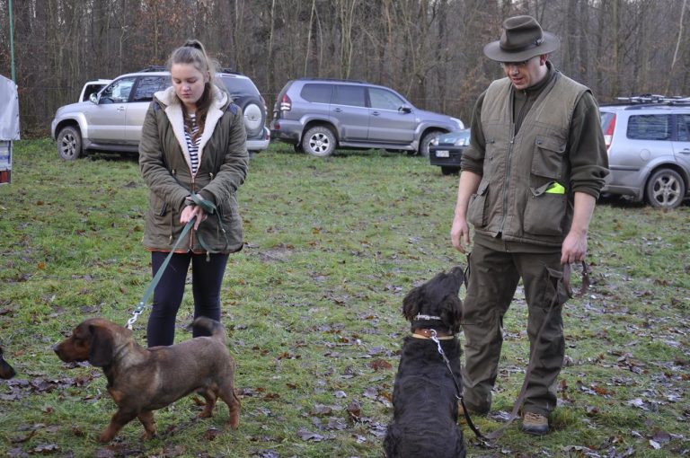 Międzynarodowy Konkurs Oceny Pracy Psów Dzikarzy w Naturalnych Warunkach 25.11.2017  - 