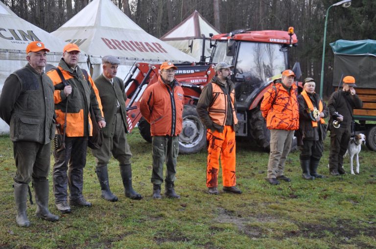 Międzynarodowy Konkurs Oceny Pracy Psów Dzikarzy w Naturalnych Warunkach 25.11.2017  - 