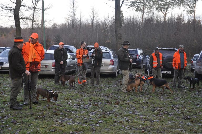 Międzynarodowy Konkurs Oceny Pracy Psów Dzikarzy w Naturalnych Warunkach 25.11.2017  - 