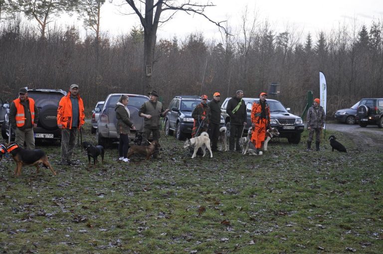 Międzynarodowy Konkurs Oceny Pracy Psów Dzikarzy w Naturalnych Warunkach 25.11.2017  - 