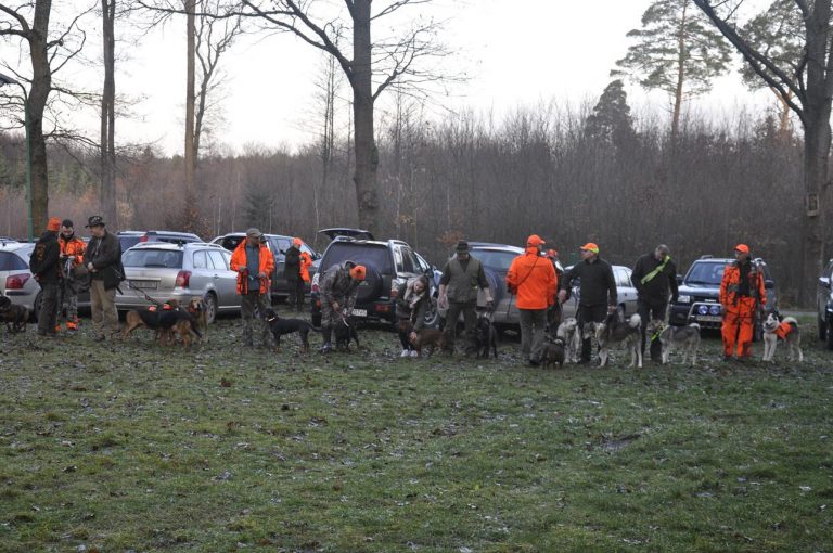 Międzynarodowy Konkurs Oceny Pracy Psów Dzikarzy w Naturalnych Warunkach 25.11.2017  - 