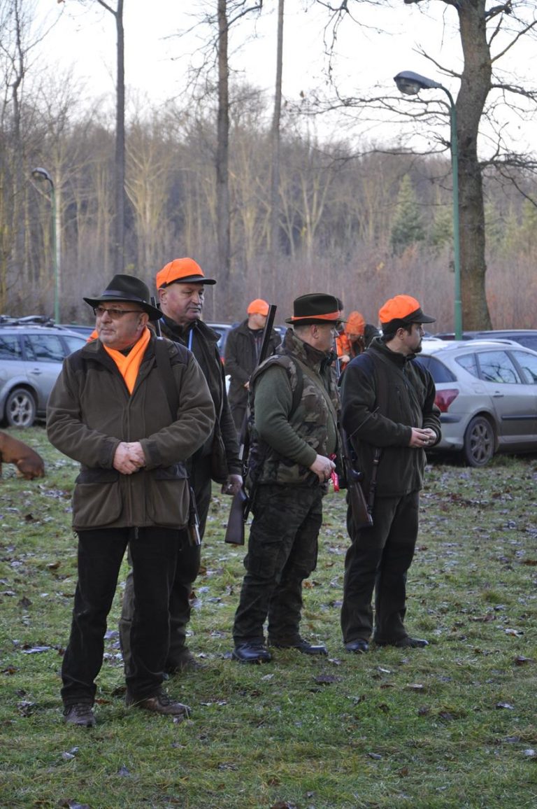 Międzynarodowy Konkurs Oceny Pracy Psów Dzikarzy w Naturalnych Warunkach 25.11.2017  - 